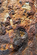 Patina 41
